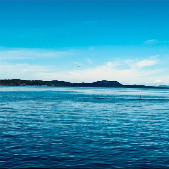 Ruth @ ModeBay 🇨🇦 ⭐️⭐️⭐️⭐️⭐️ - Picture 4 of 12